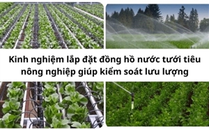 Kinh nghiệm lắp đặt đồng hồ nước tưới tiêu nông nghiệp giúp kiểm soát lưu lượng