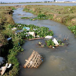 Thực trạng nguồn nước sạch tại Việt Nam bị khan hiếm