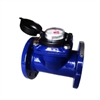 Đồng hồ nước T-Flow Malaysia DN125 phi 145